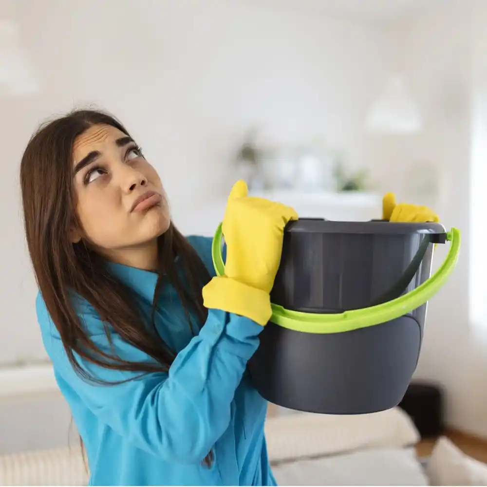 water damage restoration service Senath